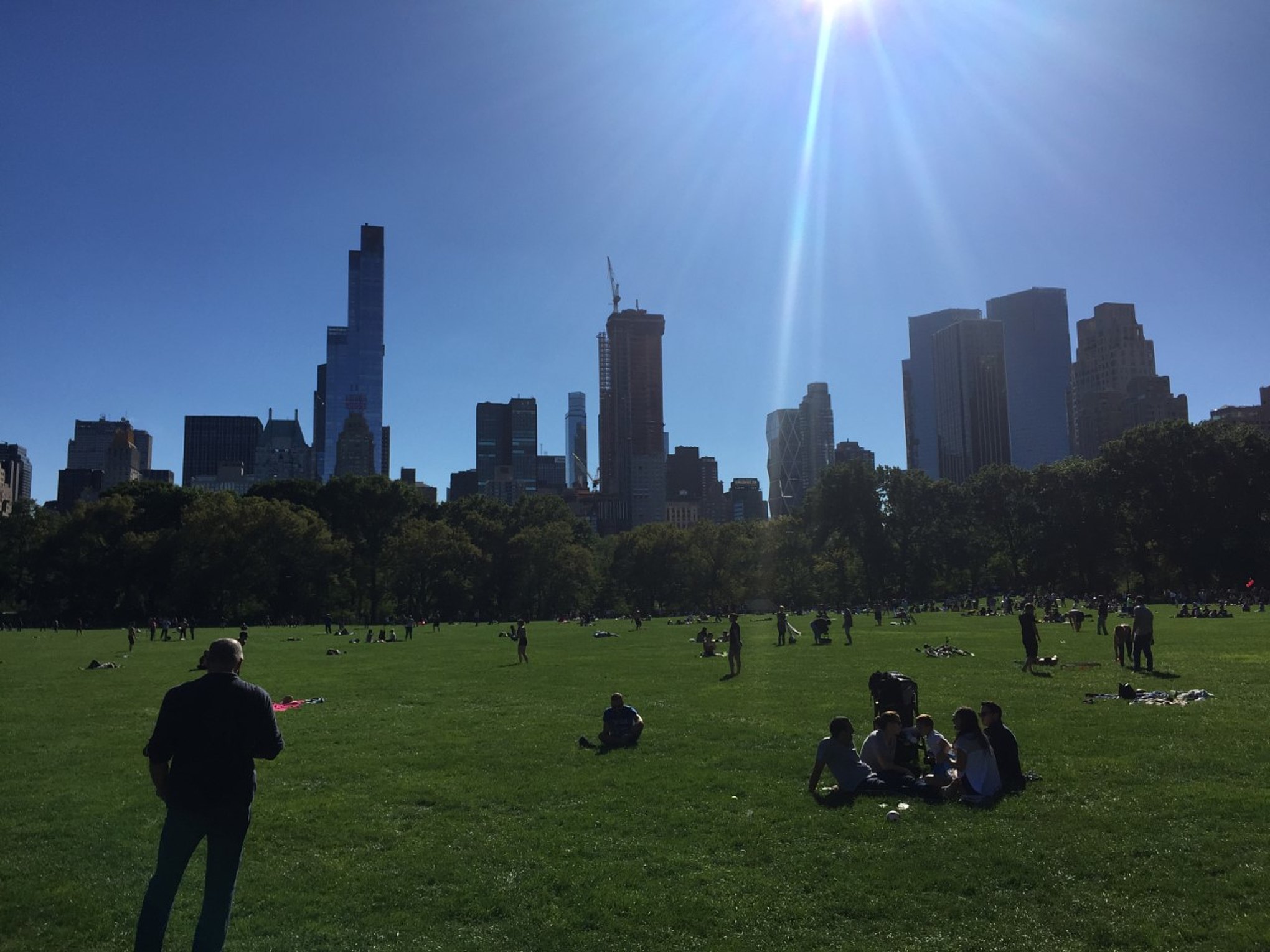 People gather at Central Park on a sunny day